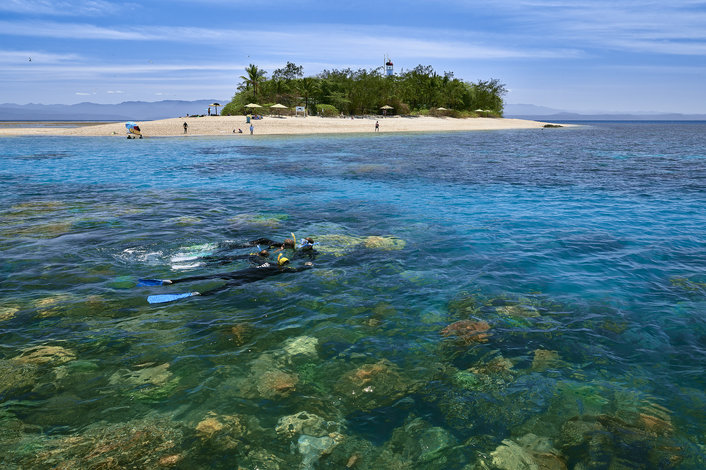 Join the free marine biologist snorkel tour 