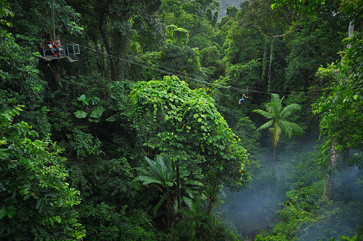 The most spectacular views of the Rainforest