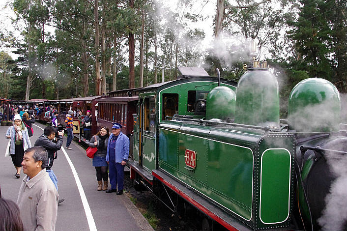 Have your photo taken with the driver of Puffing Billy