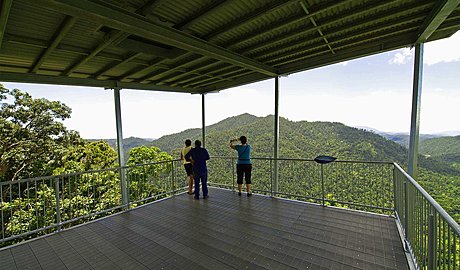 explore from the top to the bottom of the rainforest canopy