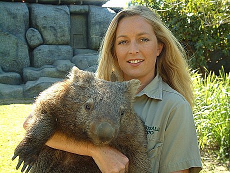 Megsy is Australian Day Tours/JPT's sponsored wombat