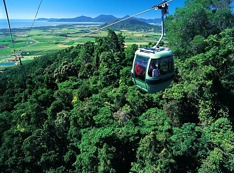 Skyrail rainforest cableway