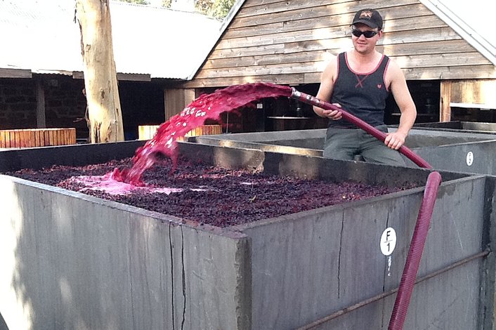 Filling a wine vat