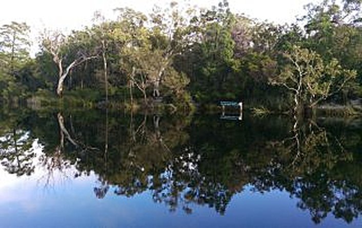 Reflections in the calm Everglade waters.