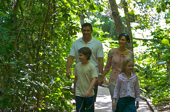 Discover with a self guided island walk through the rainforest
