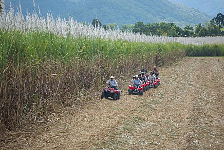 ATV Riding near Cane fields at Cairns