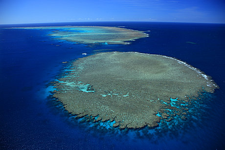 The breathtaking Opal Reef
