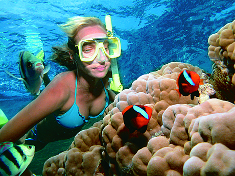 Snorkelling with Nemo!