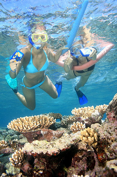 Snorkelling at Opal Reef