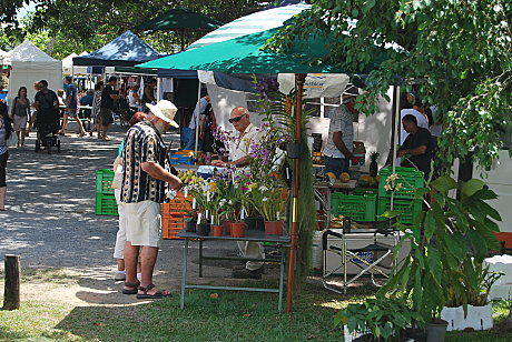 Sunday markets in Port Douglas