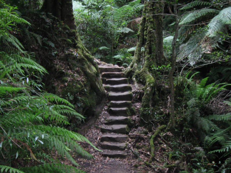 Top 10 things to do in Brisbane A travellers guide.