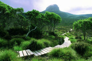 cradle Mountain walking path