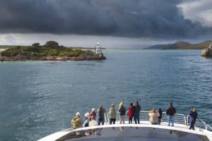 Cruise on Gordon River