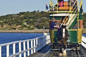 Horse drawn Tram at Victor Harbor