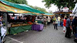 Stalls at Salamanca Markets Hobart Tasmania