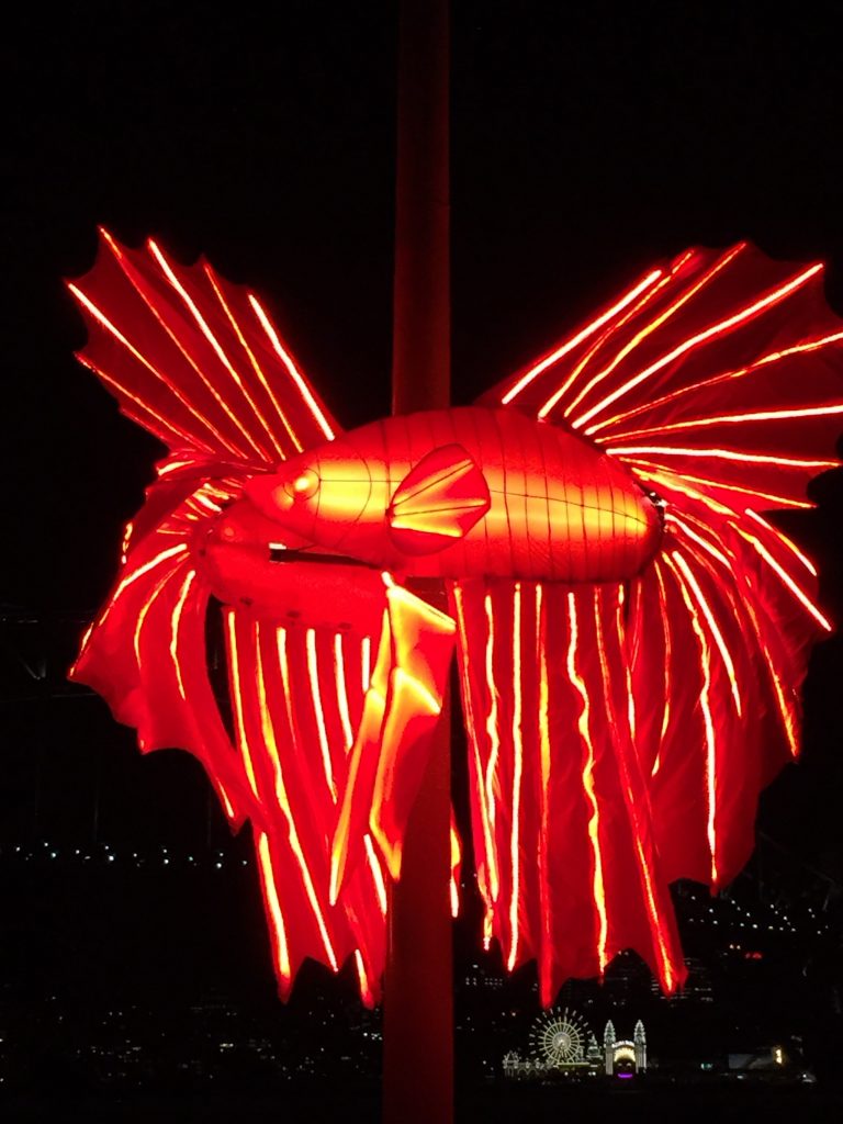 Lifgt sculpture during Vivid 2015