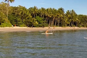 Paddleboarding at Four Mile beach near Port Douglas