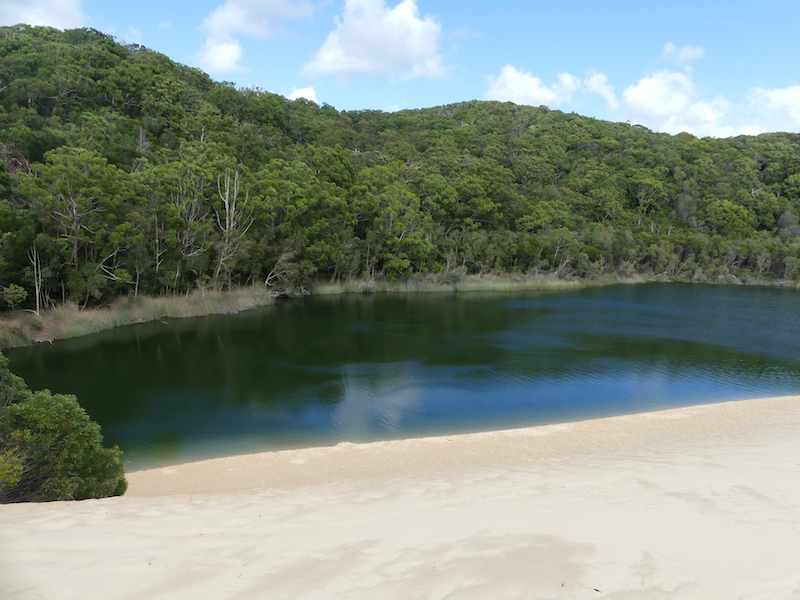 Lake Wabby This view is the first sight of Lake Wabby as you come over the sand dunes. The green reflection of the trees in the water is amazing and what gives the lake its green colour