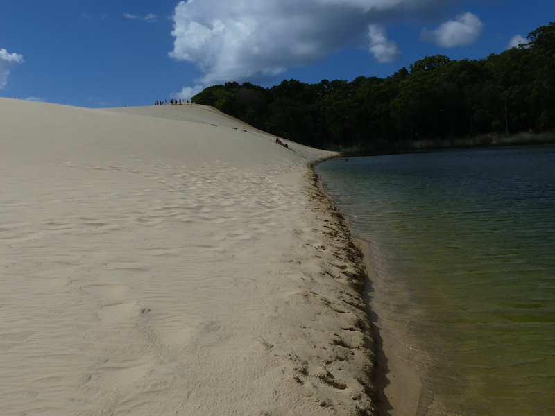 Sand Dunes at Lake Wabby A view from Lake Wabby looking back along the sand dunes