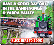 Leadbeater Eco Tours