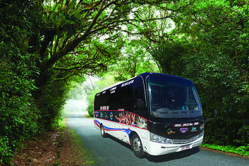 Port Douglas to Cairns City Return Shuttle