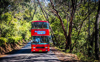 Blue Mountains Explorer Bus