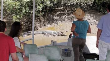 Whitsunday Crocodile Safari - Full Day Tour