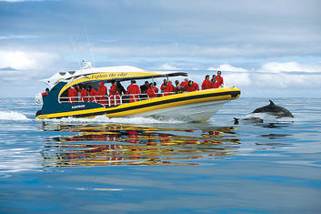 Yellow Boat