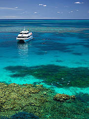 Visit 3 pristine Agincourt Reef sites