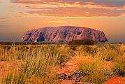 Overnight Dingo Dreaming Safari from Uluru