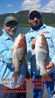 River Fishing on the Mulgrave & Russell River for Fingermark