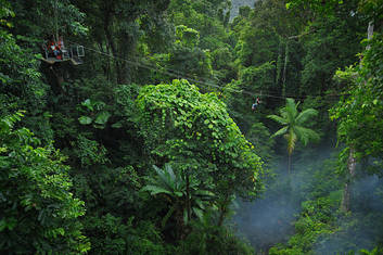 An amazing view of World Heritage Listed rainforest