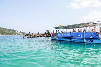 Dolphin & Tangalooma Wrecks Cruise from Rivergate Marina