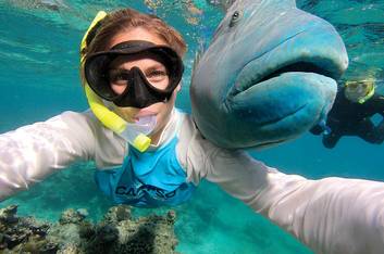 Snorkelling with Wrasse