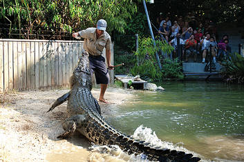 Hartleys Crocodile Adventures with Palm Cove transfers
