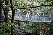 Swing bridge in the Mossman Gorge