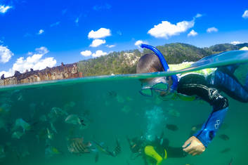 Snorkel Tour