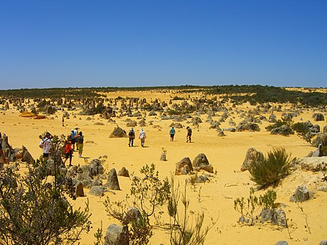 Pinnacles Desert