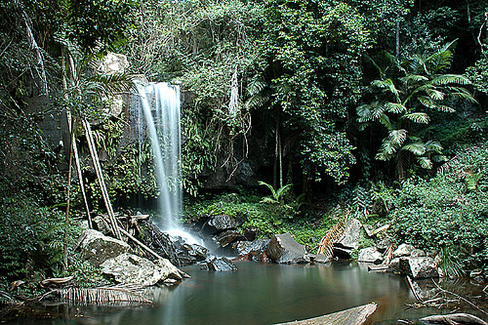 Curtis Falls