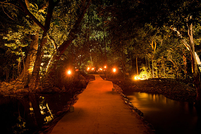 The Bridge to Dinner