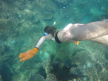 Snorkelling