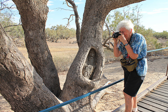 Burke & Wills Dig Tree