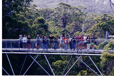 Tree Top Walk