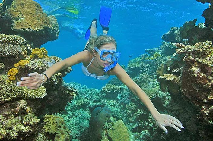 Snorkel through Coral Gardens