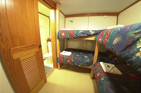 Quad Share Cabin