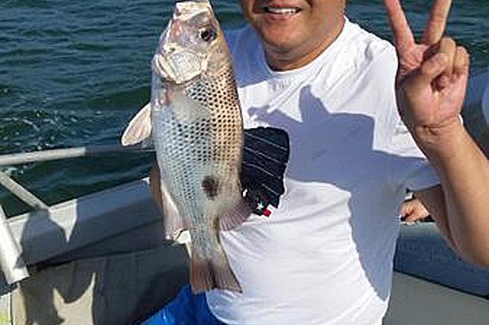 Estuary fishing for Fingermark