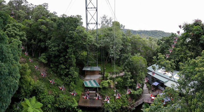 Jungle Swing Flight Path