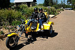 Hunter Valley Trike Tour