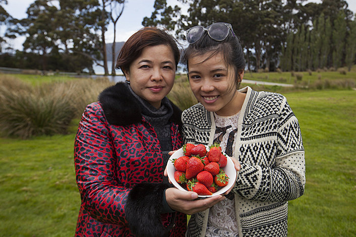 Bruny Island Berry Farm (in season)