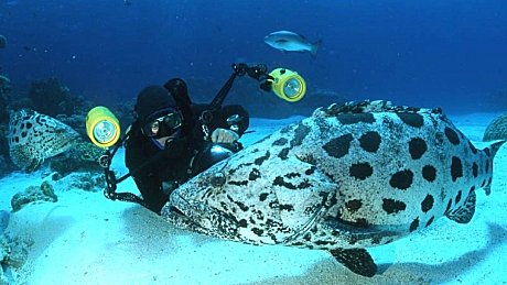 Mike with a giant Cod